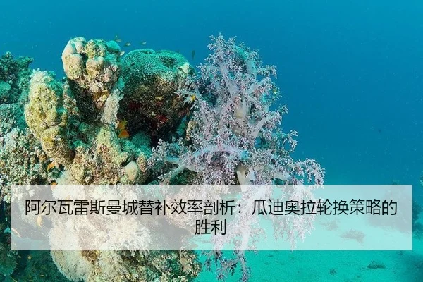a-er-wa-lei-si-man-cheng-ti-bu-xiao-lv-pou-xi-gua-di-ao-la-lun-huan-ce-lve-de-sheng-li-2-142.jpg