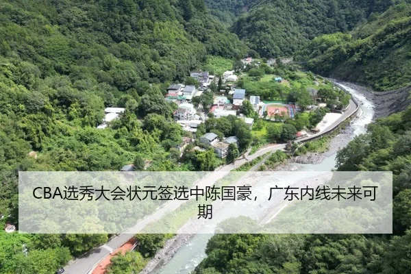 CBA选秀大会状元签选中陈国豪，广东内线未来可期