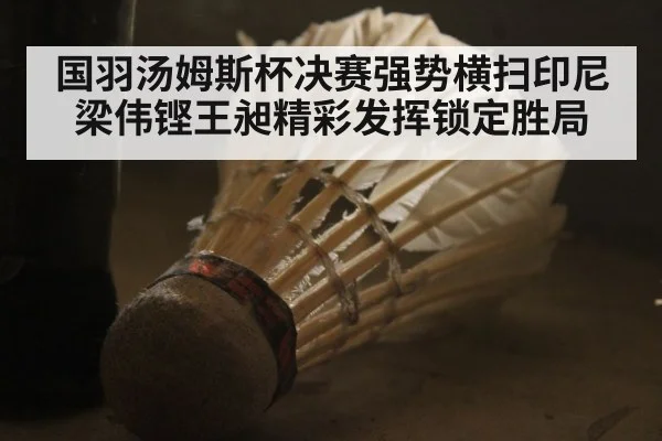 国羽汤姆斯杯决赛强势横扫印尼梁伟铿王昶精彩发挥锁定胜局